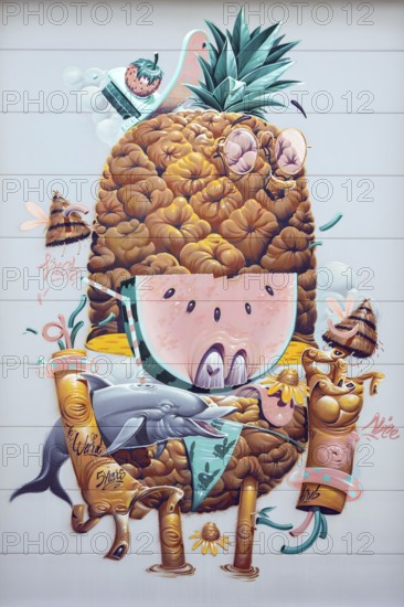 Humorous depiction of a pineapple with anthropomorphic features, at the port of Linz Upper Austria Austria