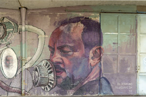 Realistic portrait of a man with a microphone painted on a wall, at the harbour Linz Upper Austria Austria