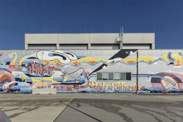 Colourful, wavy graffiti with abstract elements on a factory wall, at the port of Linz, Upper Austria Austria