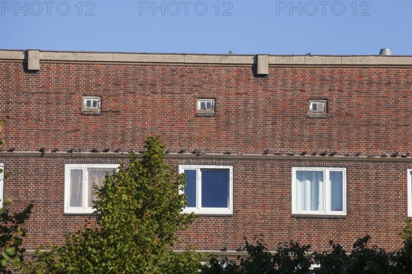 Old brick residential building, Veddel, Hamburg, Germany