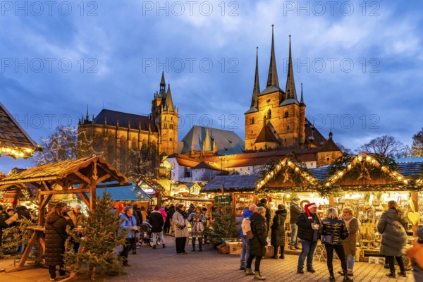 Christmas market in front of Erfurt Cathedral and the Severi Church on Cathedral Square in the historic city centre of Erfurt at dusk, Thuringia, Germany