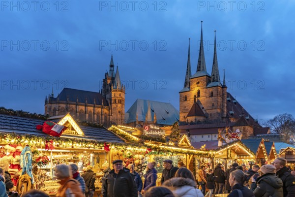 Christmas market in front of Erfurt Cathedral and the Severi Church on Cathedral Square in the historic city centre of Erfurt at dusk, Thuringia, Germany