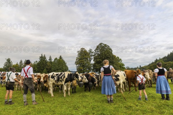 Cattle drive, cattle drive, domestic cattle (Bovidae), herd, shepherdess, children, lederhosen, dirndl, traditional traditional costume, Oberstdorf, Oberallgäu, Allgäu Alps, Bavaria, Germany