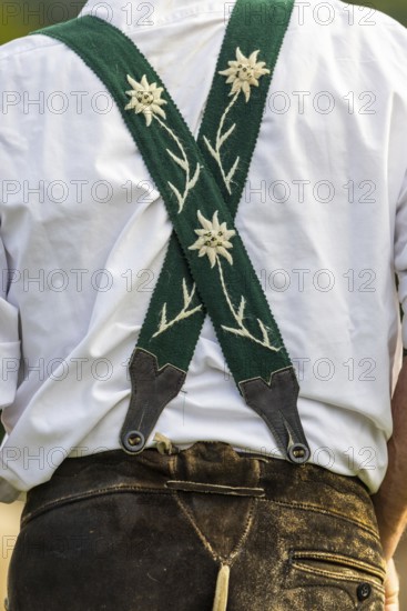 Cattle seperation, cattle drive, lederhosen, braces, Oberstdorf, Oberallgäu, Allgäu Alps, Bavaria, Germany