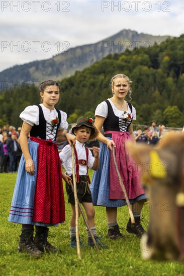 Cattle drive, cattle drive, domestic cattle (Bovidae), shepherdess, children, lederhosen, dirndl, traditional traditional costume, Oberstdorf, Oberallgäu, Allgäu Alps, Bavaria, Germany