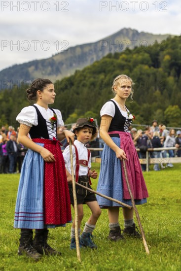 Cattle drive, cattle drive, domestic cattle (Bovidae), shepherdess, children, lederhosen, dirndl, traditional traditional costume, Oberstdorf, Oberallgäu, Allgäu Alps, Bavaria, Germany