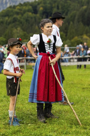Cattle drive, cattle drive, domestic cattle (Bovidae), shepherdess, children, lederhosen, dirndl, traditional traditional costume, Oberstdorf, Oberallgäu, Allgäu Alps, Bavaria, Germany