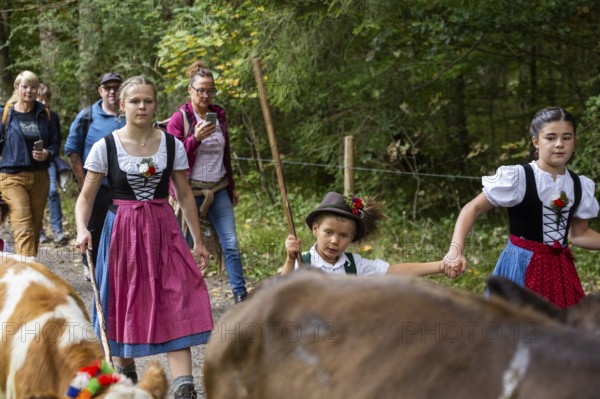 Cattle drive, cattle drive, domestic cattle (Bovidae), shepherdess, children, lederhosen, dirndl, traditional traditional costume, Oberstdorf, Oberallgäu, Allgäu Alps, Bavaria, Germany