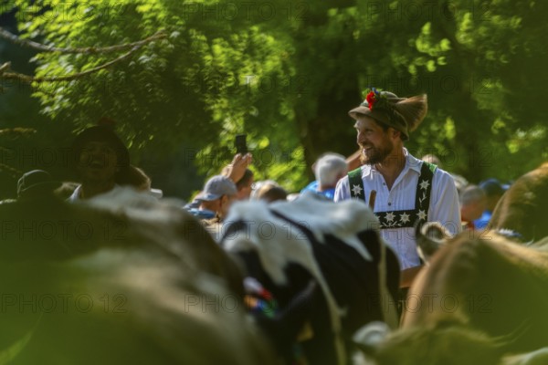 Cattle drive, herdsman, portrait, felt hat, chamois beard, traditional traditional costume, Oberstdorf, Oberallgäu, Allgäu Alps, Bavaria, Germany