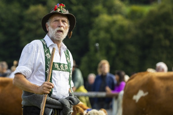 Cattle drive, herdsman, portrait, felt hat, chamois beard, traditional traditional costume, Oberstdorf, Oberallgäu, Allgäu Alps, Bavaria, Germany