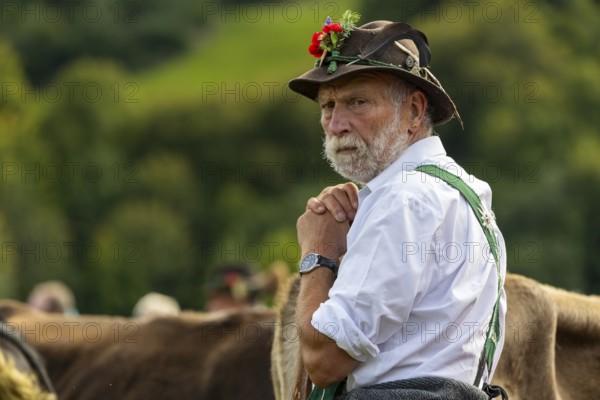 Cattle drive, herdsman, portrait, felt hat, chamois beard, traditional traditional costume, Oberstdorf, Oberallgäu, Allgäu Alps, Bavaria, Germany
