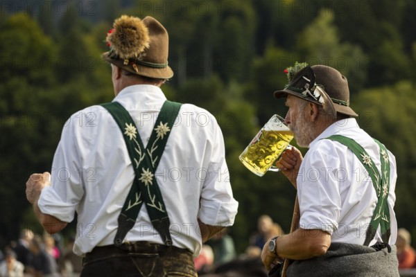 Cattle drive, herdsmen drinking beer, portrait, felt hat, chamois beard, traditional traditional costume, Oberstdorf, Oberallgäu, Allgäu Alps, Bavaria, Germany
