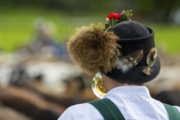 Cattle drive, cattle drive, alpine herdsman, felt hat, chamois beard, traditional traditional costume, Oberstdorf, Oberallgäu, Allgäu Alps, Bavaria, Germany