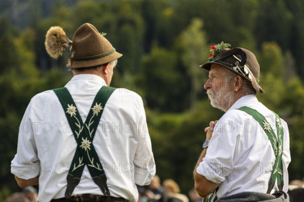 Cattle drive, herdsmen, portrait, felt hat, chamois beard, traditional traditional costume, Oberstdorf, Oberallgäu, Allgäu Alps, Bavaria, Germany