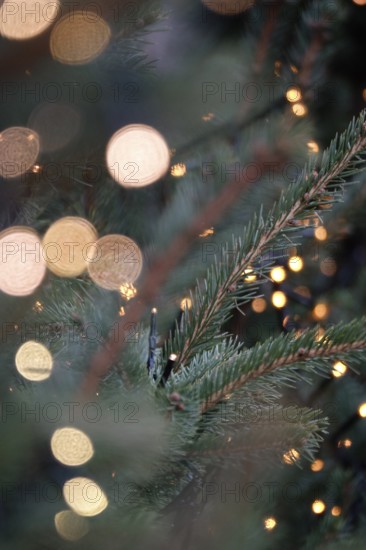 Christmas tree at Christmas time, Germany
