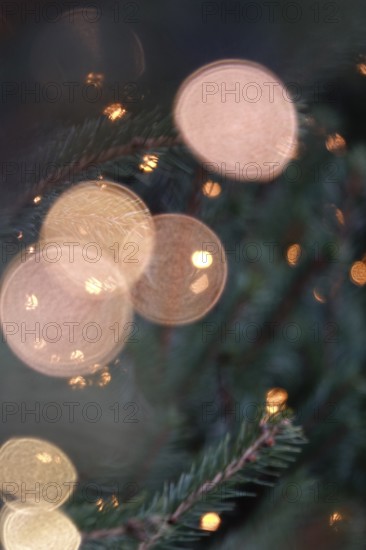 Christmas tree at Christmas time, Germany
