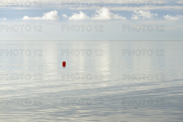 North Sea coast, special light atmosphere over the Wadden Sea with rising water and calm wind, red buoy, Norddeich, Lower Saxony, Germany