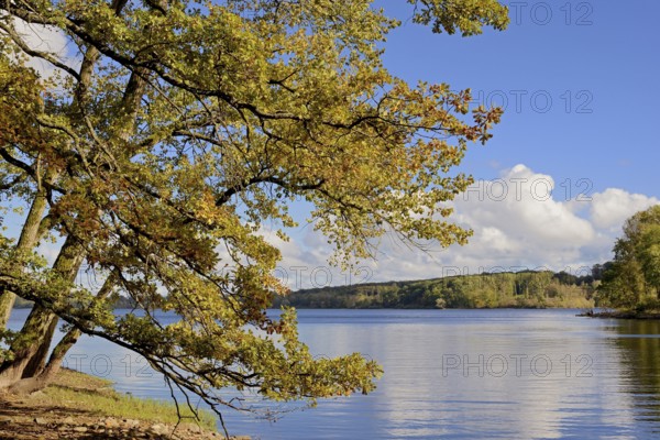 View of Lake Möhne, reflection, autumn atmosphere, blue cloudy sky, Möhne Dam, North Rhine-Westphalia, Germany