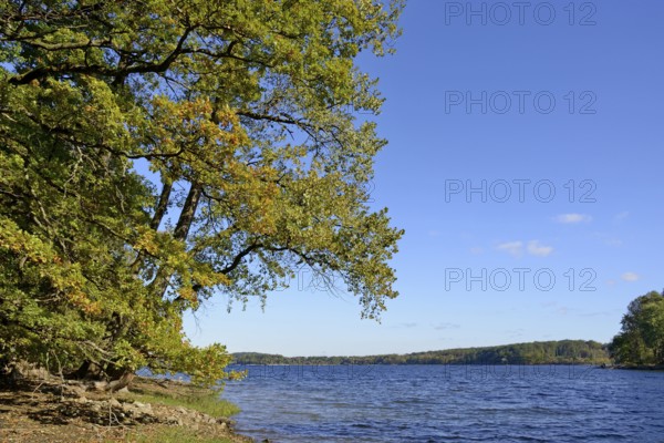 View of Lake Möhne, autumn atmosphere, blue sky, Möhne Dam, North Rhine-Westphalia, Germany