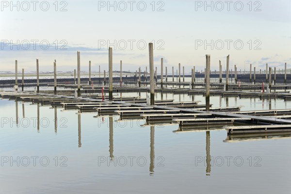 Winter day on the North Sea coast, reflection of boat moorings in the marina, Norddeich, Lower Saxony, Germany
