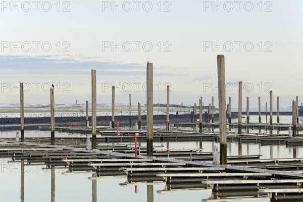 Winter day on the North Sea coast, reflection of boat moorings in the marina, Norddeich, Lower Saxony, Germany