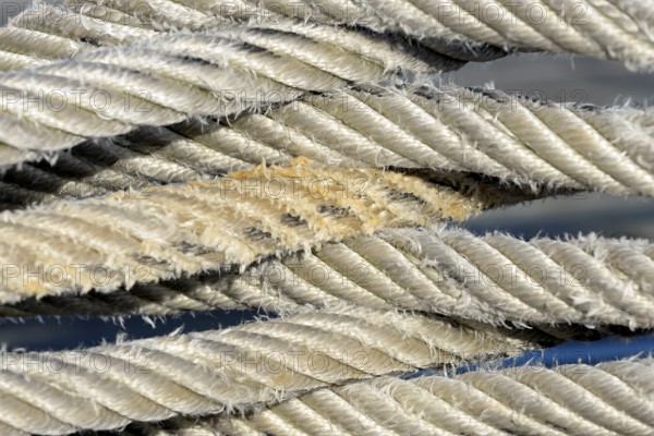 Thick ship jam, close-up, North Sea, Norddeich, Lower Saxony, Germany
