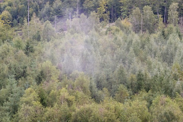 View over an autumnal mixed forest with rising mist, Arnsberg Forest nature park Park, North Rhine-Westphalia, Germany