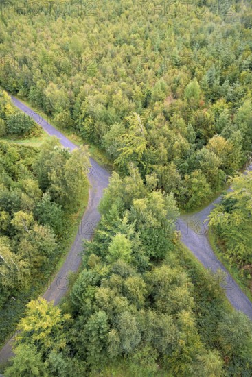 View over an autumnal mixed forest with forest paths, Arnsberg Forest nature park Park, North Rhine-Westphalia, Germany
