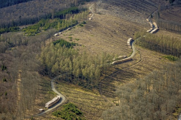 Forest damage and clear-cutting, Salchendorf, Neunkirchen, Siegerland, North Rhine-Westphalia, Germany, tree mortality, DE, Europe, timber storage, clear-cutting, aerial photograph, aerial photography, aerial photography, overview, bird's-eye view, forest, forest area, forest damage, forest mortality, birds-eyes view, overview