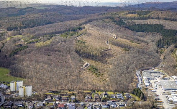 Forest damage and clear-cutting, Salchendorf, Neunkirchen, Siegerland, North Rhine-Westphalia, Germany, tree mortality, DE, Europe, timber storage, clear-cutting, aerial photograph, aerial photography, aerial photography, overview, bird's-eye view, forest, forest area, forest damage, forest mortality, birds-eyes view, overview