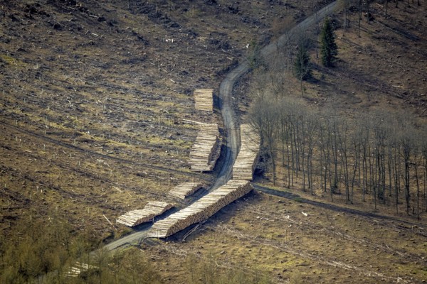 Forest damage and clear-cutting, Salchendorf, Neunkirchen, Siegerland, North Rhine-Westphalia, Germany, tree mortality, DE, Europe, timber storage, clear-cutting, aerial photograph, aerial photography, aerial photography, overview, bird's eye view, forest, forest area, forest damage, forest mortality, birds-eyes view, overview