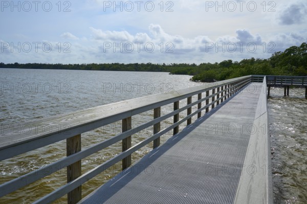 A long wooden walkway with railings leads along a lake under a cloudy sky, West Lake View Point, Everglades National Park, Florida, USA