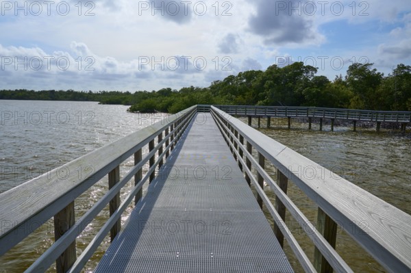 A boardwalk with railings stretches along a calm lake under a cloudy sky, West Lake View Point, Everglades National Park, Florida, USA