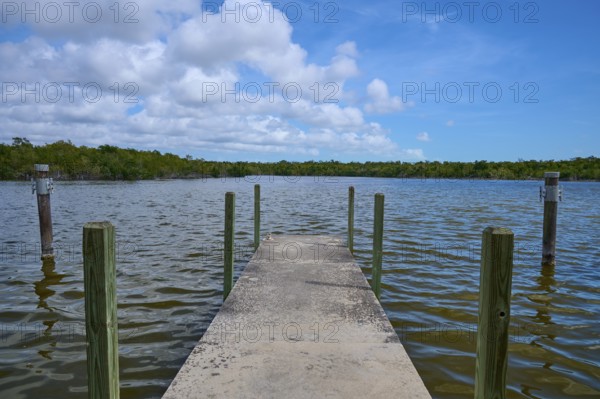 A concrete jetty stretches into the water, surrounded by wooded nature under a cloudy sky, West Lake View Point, Everglades National Park, Florida, USA