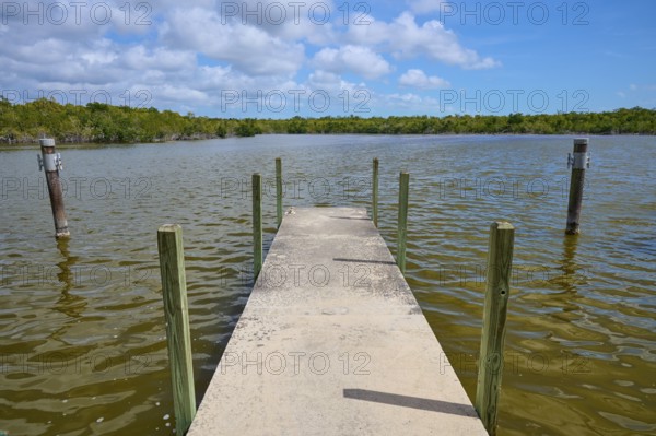 A concrete footbridge leads into the water, surrounded by tranquil nature and cloudy skies, West Lake View Point, Everglades National Park, Florida, USA