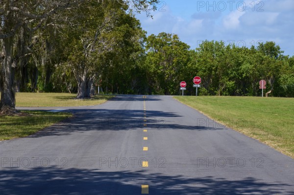 A tarmac road with no stopping signs and surrounded by trees, Flamingo, Everglades National Park, Florida, USA
