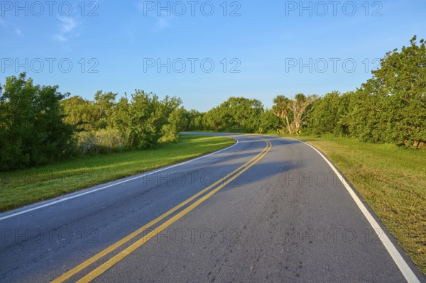 A country road with a slight curve surrounded by trees on a sunny day, Flamingo, Everglades National Park, Florida, USA