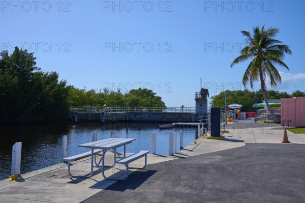 Tranquil harbour view with palm tree and clear sky, Flamingo, Marina, Everglades National Park, Florida, USA