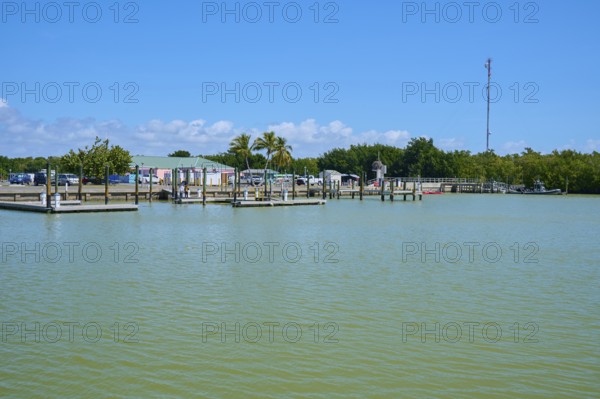 Harbour with buildings and palm trees under a blue sky, Flamingo, Marina, Everglades National Park, Florida, USA