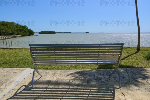 Metal bench with view of the sea and island, surrounded by palm trees, Flamingo, Everglades National Park, Florida, USA