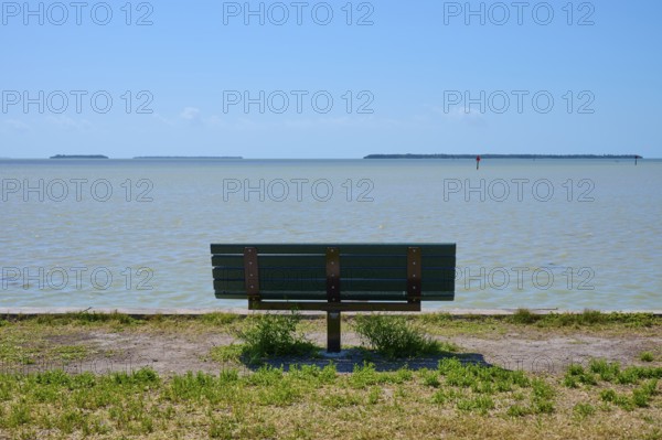A park bench stands alone with a view of the vast, calm sea, Flamingo, Everglades National Park, Florida, USA