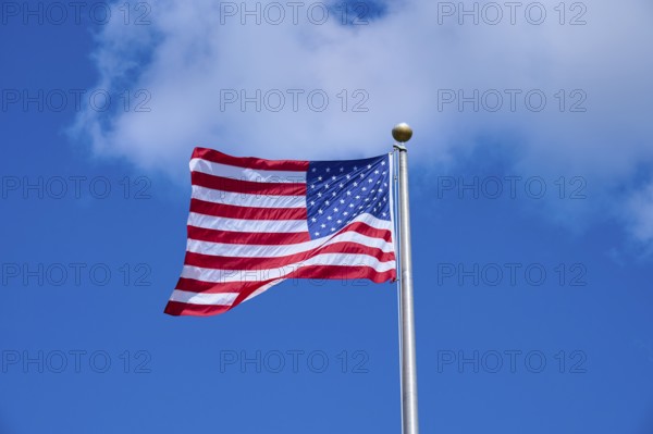 The American national flag flutters vividly under a sunny sky, Flamingo, Everglades National Park, Florida, USA