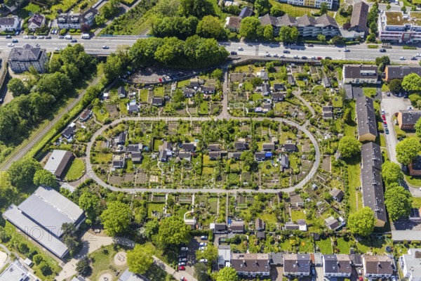 Aerial view, allotment garden site KGV Stollenhof, Saarner Straße, Speldorf, Mülheim an der Ruhr, Ruhr area, North Rhine-Westphalia, Germany, DE, Europe, community garden, allotment garden, allotment garden site, allotment garden association, allotment gardener association, aerial view, aerial photography, aerial photography, allotment garden, overview, bird's-eye view, overview