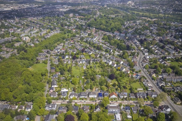 Aerial view, residential area with gardens at Wallfriedsweg, Lönsweg, Benzbergs Kamp, Broich - Ost, Mülheim an der Ruhr, Ruhr area, North Rhine-Westphalia, Germany, DE, Europe, aerial view, aerial photography, aerial photography, overview, bird's-eye view, overview