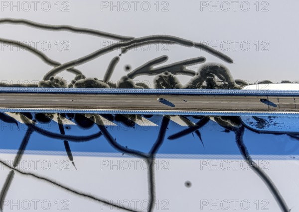 Aerial view, Delecker Brücke, shapes and colours, Delecke, Möhnesee, Sauerland, North Rhine-Westphalia, Germany, Arnsberger Straße, bridge, DE, Europe, aerial view, aerial photography, aerial photography, cracks in the ice, snow, overview, bird's-eye view, winter at Möhnesee, winter landscape, birds-eyes view, overview
