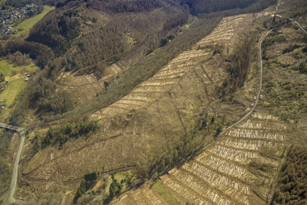 Forest damage and clear cutting, Brachbach, Siegerland, Rhineland-Palatinate, Germany, 2 bridges over the Weser, tree mortality, DE, Europe, timber storage, clear cutting, aerial view, aerial photograph, aerial photography, aerial photography, overview, bird's-eye view, forest, forest area, forest damage, forest mortality, birds-eyes view, overview