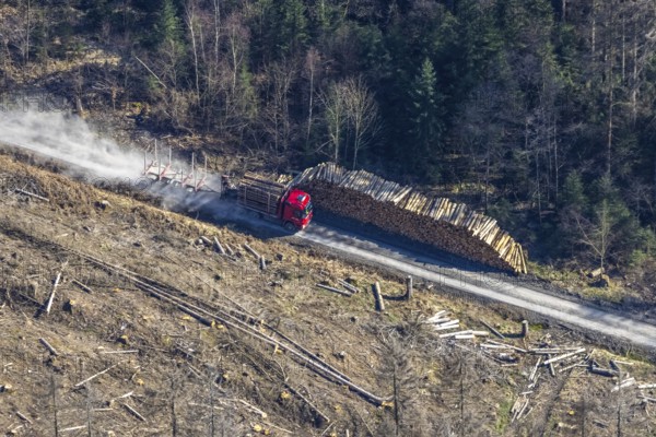 Forest damage, timber storage site and removal by lorry in the forest area near Neuhaus, Südrandweg, Möhnesee, Sauerland, North Rhine-Westphalia, Germany, tree mortality, DE, Europe, clear-cutting, aerial view, aerial photography, aerial photography, aerial photography, overview, bird's-eye view, forest area, forest mortality, birds-eyes view, overview