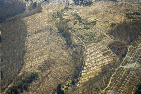 Forest damage and clear cutting, Brachbach, Siegerland, Rhineland-Palatinate, Germany, 2 bridges over the Weser, tree mortality, DE, Europe, timber storage, clear cutting, aerial view, aerial photograph, aerial photography, aerial photography, overview, bird's-eye view, forest, forest area, forest damage, forest mortality, birds-eyes view, overview