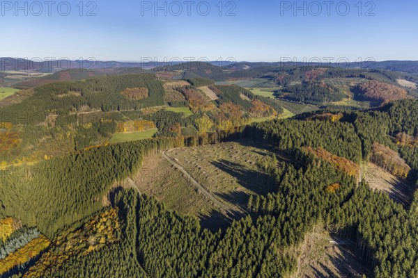Aerial view, forest area with forest damage in the district Calle in Meschede, Sauerland, North Rhine-Westphalia, Germany, tree dieback, bark beetle damage, bark beetle plague, DE, Europe, distant view, spruce dieback, hilly landscape, clear-cutting, aerial view, aerial photography, aerial photography, aerial photography, Meschede, overview, bird's eye view, forest, forest damage, forest dieback, birds-eyes view, overview