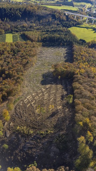 Aerial view, forest area with forest damage in the district Wennemen in Meschede, Sauerland, North Rhine-Westphalia, Germany, tree death, bark beetle damage, bark beetle plague, DE, Europe, spruce dieback, clear cutting, aerial view, aerial photography, aerial photography, Meschede, overview, bird's eye view, forest, forest damage, forest dieback, birds-eyes view, overview